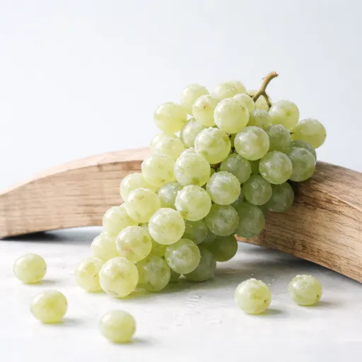 Cremant d'Alsace : cinquante ans apres, douze vignerons qui redefinissent ce que l'AOC peut etre