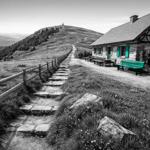 Le Grand Ballon en été : l'ascension, les fermes-auberges et la vue qui justifie l'effort