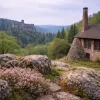 Parc naturel des Vosges du Nord : trois jours en forêt entre rochers de grès, châteaux ruinés et verreries