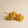 Voyager en Alsace autour de la foire éco bio de Colmar : marchés gourmands, fermes et vignobles engagés