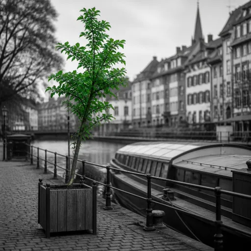 Flâner le long du quai Jacoutot à Strasbourg, nouvelle porte verte du Grand Est