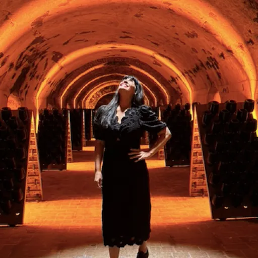 Interview de Laura Villanueva de Travel and Champagne : Créer des expériences de tourisme haut de gamme en Champagne