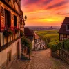 Séjourner autour du 16 rue des Vosges à Ingersheim pour explorer Colmar et la plaine d’Alsace