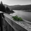 Séjour à Orbey La Chaume : un balcon sur le lac Blanc et le massif des Vosges