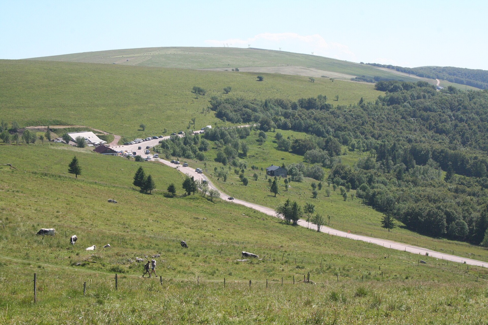 La route des Crêtes sous le Hohneck, chaumes vertes et forêts des Hautes-Vosges en juillet